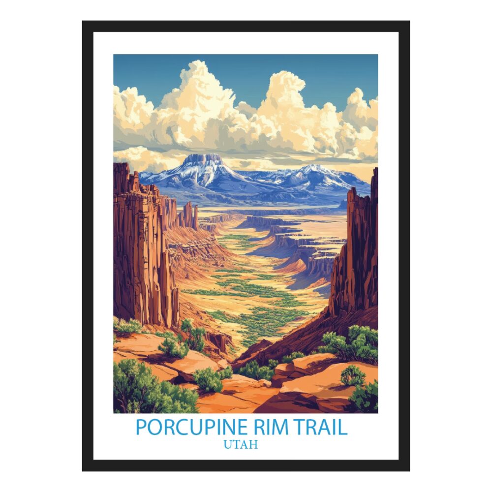 porcupine_1_a